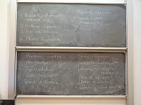  Discussion: SIS and dynamic networks