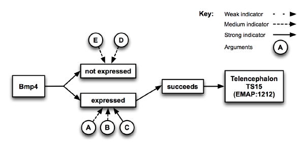 Sealife Flow Diagram