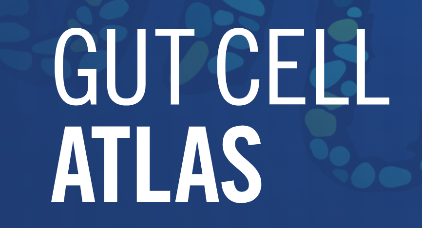 Gut Cell Atlas logo