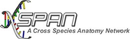 XSPAN logo
