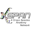 Xspan logo