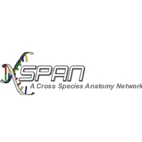 XSPAN logo