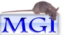 mgi logo