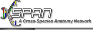 Xspan logo