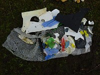 P1150162
