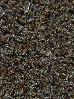 09_pollaidh_530x