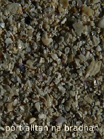 17_port_alltan_na_bradhan_546x