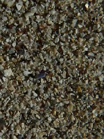 19_traigh_ros_548x