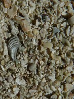 30_eilean_a_chathaidh561x