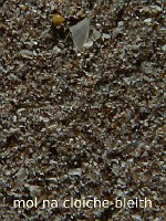 31_mol_na_cloiche-bleith_534x