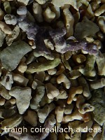 32_traigh_coireallach-a_deas_535x