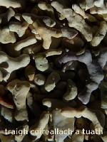 33_traigh_coireallach_a_tuath_538x