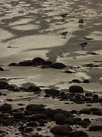 P1120682