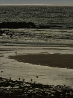 P1170398