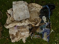 P1170426a