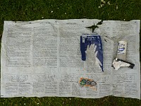 P1170494a
