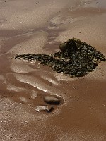 P1150647