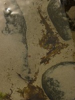P1160499