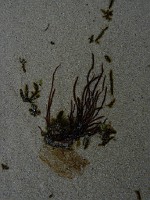 P1160500