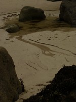 P1160501