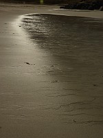 P1150139