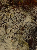P1150140