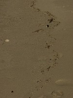 P1150565