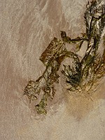 P1150367