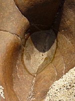 P1150368