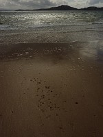 P1150680e