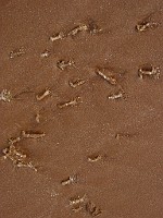 P1150681