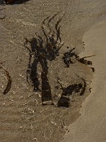 P1150513