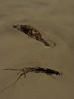 P1150516