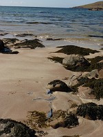P1150375