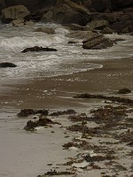 P1160358