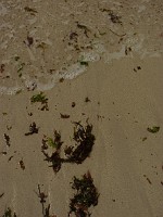 P1160362
