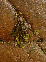 P1160363
