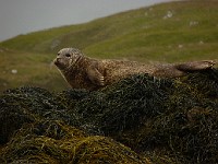 P1170320