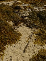 P1170383