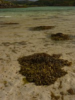 P1170384