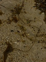 P1170385