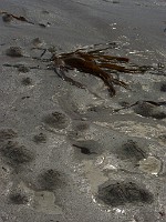 P1150488