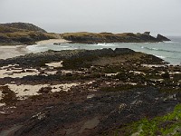 P1150184