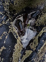 P1150193