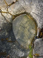 P1160204
