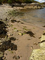 P1160205