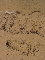 P1160206