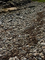 P1170103