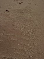 P1150624