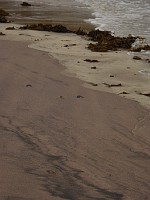 P1150626